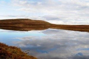 Dunnet Head